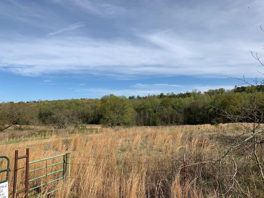 TBD Pleasant View Rd: TBD Pleasant View Rd, Ozark, AR 72949